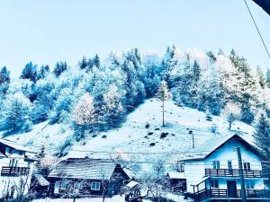 Pensiunea Julian House