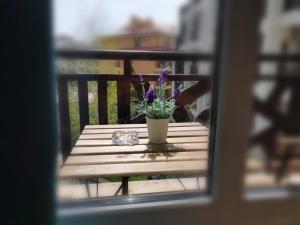 Студио Sun day в Royal palm, Свети Влас