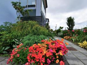 Szafir Apartamenty