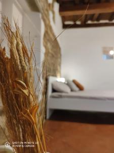 Dantes Room dei Cerchi