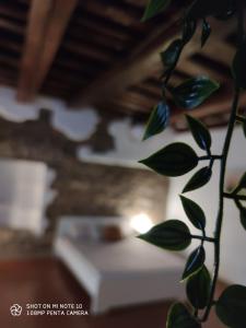 Dantes Room dei Cerchi