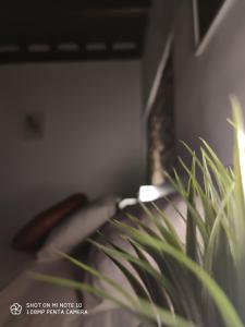 Dantes Room dei Cerchi