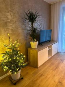 Apartmán Betula-apartmán v srdci Vysokých Tatier