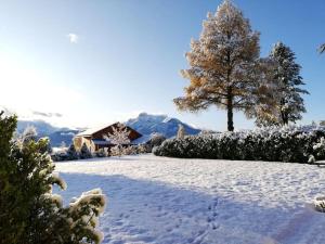 Maisons de vacances Maison dans les Alpes - Gite les 12 sommets : photos des chambres