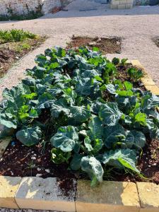 Villa Ada-Trulli Puglia