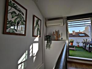 Javi s Home Trinidad