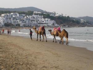 la Cassia Cabo Appartement