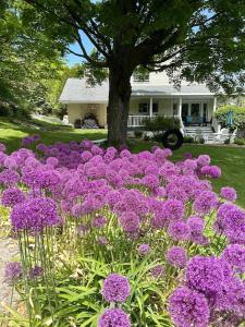 Carraig Mor Cottage - Beautiful House, Amazing Garden, Downtown Baileys Harbor