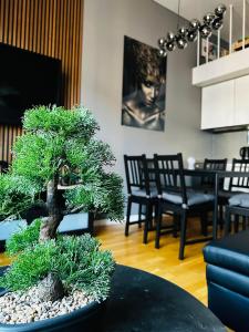 Spacious & stylish apartment in Oslo - Supercentral
