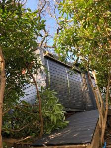 Waterside Cader Cabin with Hot Tub