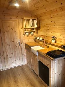 Waterside Cader Cabin with Hot Tub