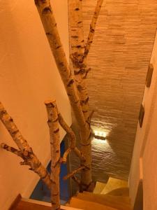 Urlaub auf der Alm "Deluxe" Matzlerberg