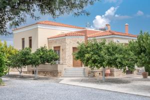 Cretan Vineyard Hill Villa 2