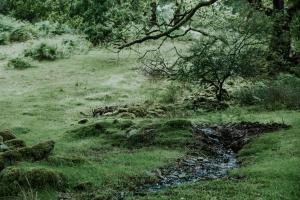 Oak SPECIAL WINTER OFFERS - Hot tub