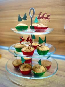 Skupljen Resort: Enjoy the Freedom!