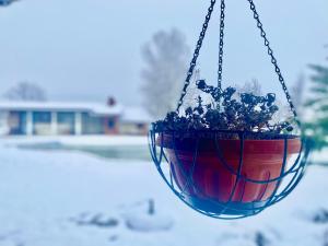 Skupljen Resort: Enjoy the Freedom!