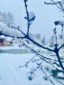 Skupljen Resort: Enjoy the Freedom!