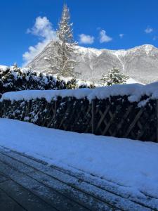 Appartements Gite Balneo Au Coeur des Alpes : photos des chambres