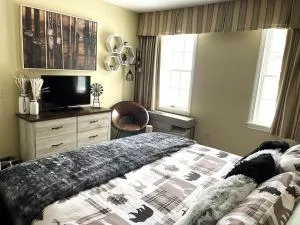 Mountain View Suite Sleeps 4 Ski OnOff Jiminy Peak - New Ashford