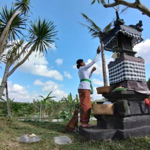 Villa Bukit Temawang Near Sidemen and Mount Agung