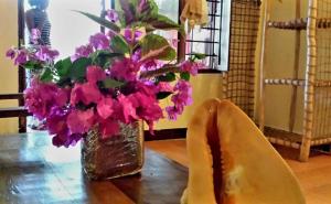 Sipano Beach Lodge Kiwengwa