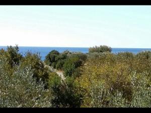 obrázek - Amazing Cottage close from the sea - Crete