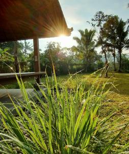 Villa Bukit Temawang Near Sidemen and Mount Agung