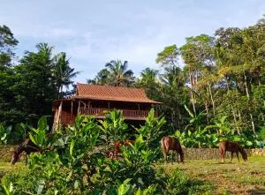 Havana Horses Lodge - 班顿甘