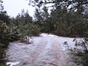 Viscosa Holiday Apartment