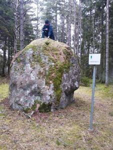 Viscosa Holiday Apartment