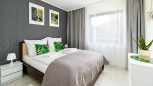 Stone Hill, Sun & Snow