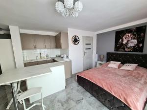 Apartament Wyzwolenia