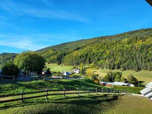 Villard je t'aime - Residence Les Tennis - 2 Appartements 2 pieces 5 p et 6 p : photos des chambres