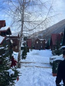 Vikendica Rajsko selo