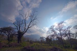 Bamboo Banks Farm & Guest House
