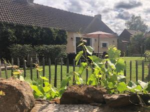 Maisons de vacances Aux Jardins De La Guyonniere Gite 2 a 13 personnes : photos des chambres