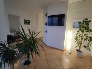 ZEN Apartment - spacious for 7 - central - kitchen