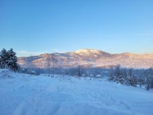 Slope House (Domek na Skarpie) Lipowa