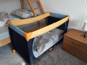 Apartment Helena Harrachov by Interhome