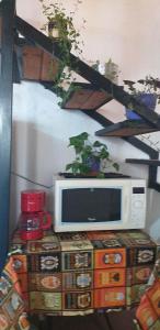 Tem Kotenkesh Depto Andiperlas x 4 pax