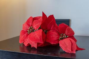 Luxury apartment 100 mtrs Beach