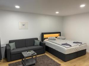 Akmene Center Apartment