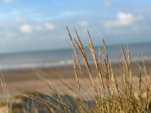 Olympia 5 - Oostduinkerke