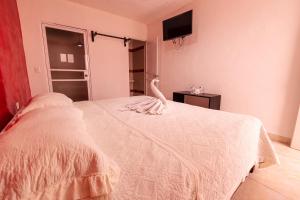 Hotel Bello Caribe Express