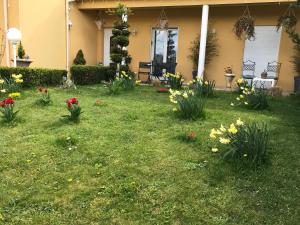 Sejours chez l'habitant Le chant des oiseaux : Chambre Double avec Terrasse