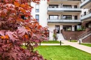 Appart'hotels Les Boreales - Appart'hotel & Restaurant : photos des chambres