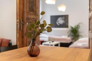 Kamienica Centrum Apartament nr 9