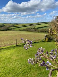 Secluded Escape near Salcombe - Newhouse Barn.