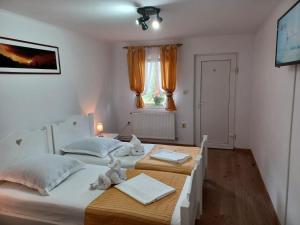 Double or Twin Room room in Pensiunea Ana Cristina