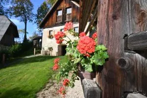 SLO-ETNO HOUSE GOSTECE-Vintage Apartma - 莫济列